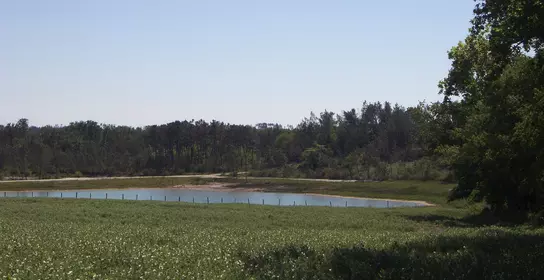 Banner image - Biodiversité sur le site Clérac